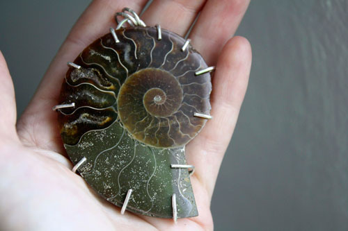 Cephalopoda, pendentif témoin de l’histoire en argent et ammonite fossilisée